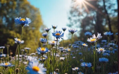 Kundenservice am 30.04.26 nur bis 13 Uhr erreichbar – wir säen Wildblumen